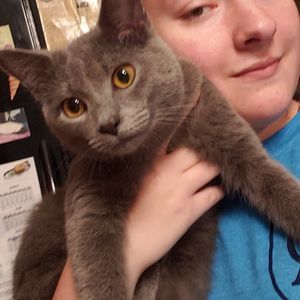 Meet your Posher, Katherine